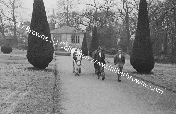 PLOUGHING OF DAIRY HILL